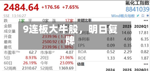 9连板大牛股，明日复牌