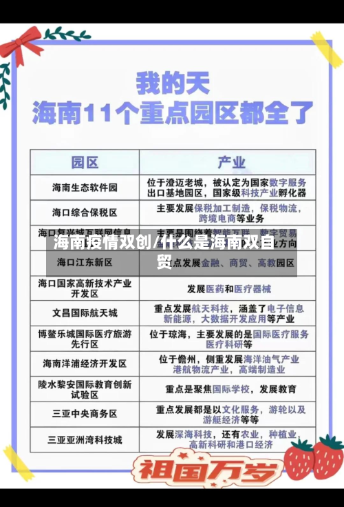 海南疫情双创/什么是海南双自贸