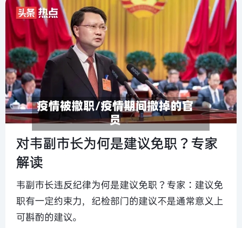 疫情被撤职/疫情期间撤掉的官员