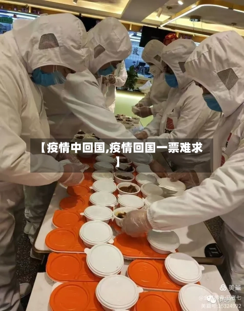 【疫情中回国,疫情回国一票难求】-第2张图片