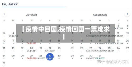 【疫情中回国,疫情回国一票难求】