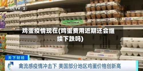 鸡蛋疫情现在(鸡蛋费用近期还会继续下跌吗)-第2张图片