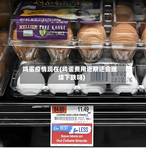 鸡蛋疫情现在(鸡蛋费用近期还会继续下跌吗)