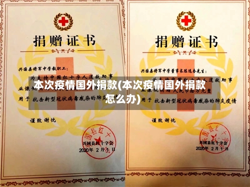本次疫情国外捐款(本次疫情国外捐款怎么办)-第2张图片