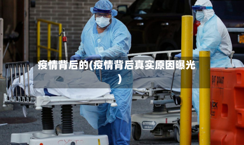 疫情背后的(疫情背后真实原因曝光)-第2张图片