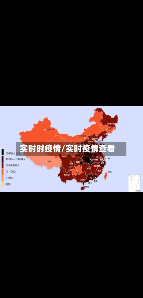 实时时疫情/实时疫情查看