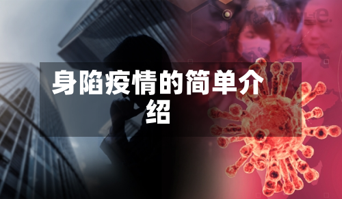身陷疫情的简单介绍