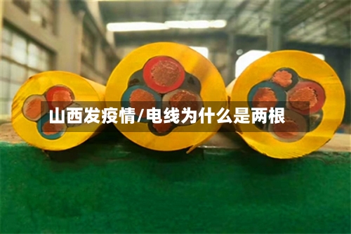 山西发疫情/电线为什么是两根