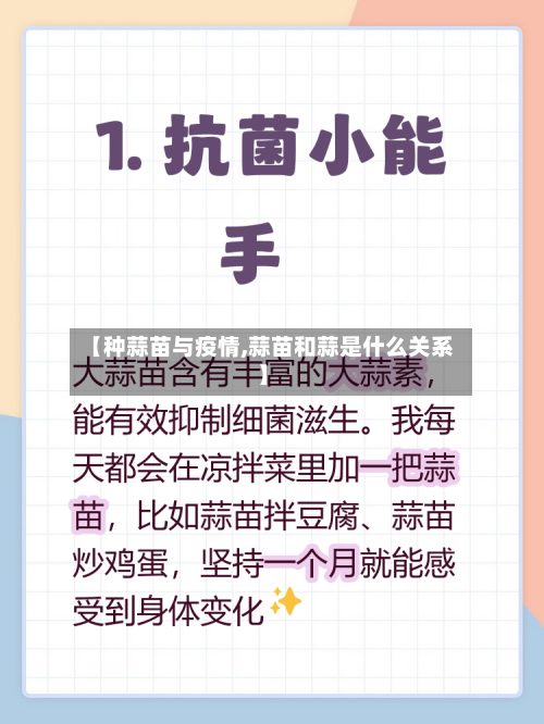 【种蒜苗与疫情,蒜苗和蒜是什么关系】