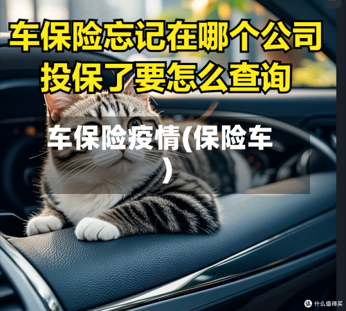 车保险疫情(保险车)