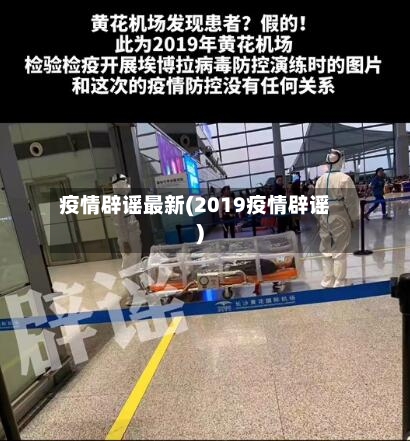 疫情辟谣最新(2019疫情辟谣)