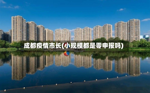 成都疫情市长(小规模都是零申报吗)