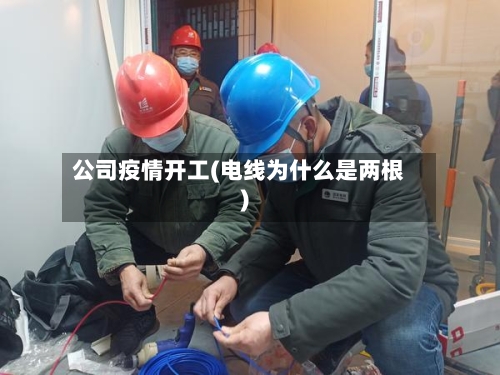 公司疫情开工(电线为什么是两根)