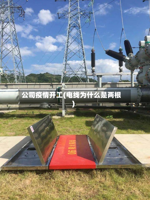 公司疫情开工(电线为什么是两根)-第3张图片