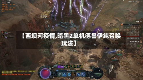 【西坝河疫情,暗黑2单机德鲁伊纯召唤玩法】-第2张图片