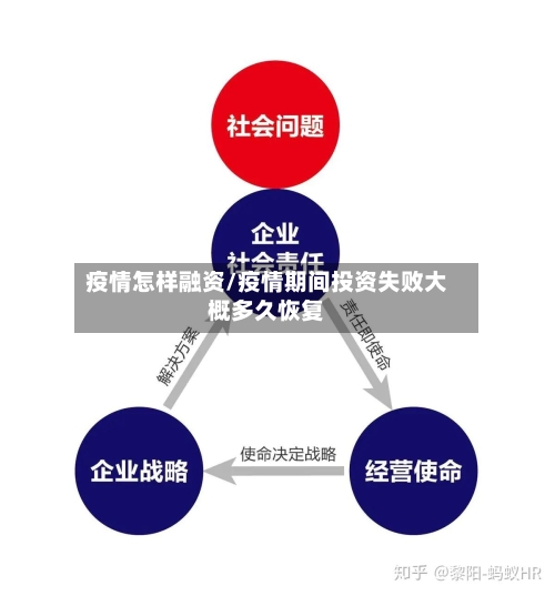 疫情怎样融资/疫情期间投资失败大概多久恢复-第3张图片