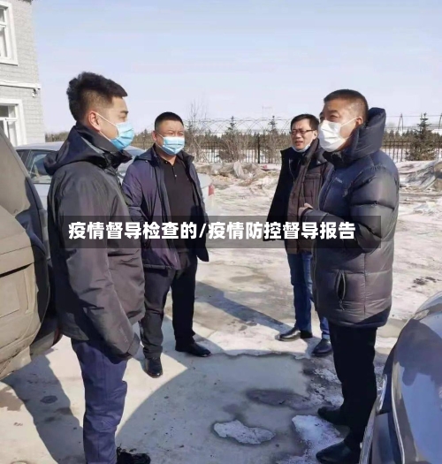 疫情督导检查的/疫情防控督导报告