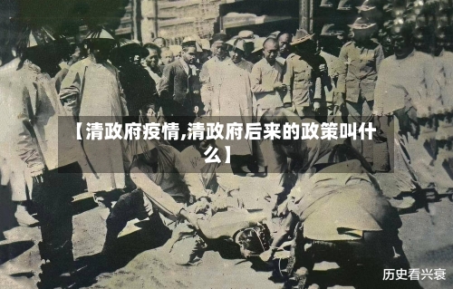 【清政府疫情,清政府后来的政策叫什么】