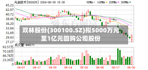 双林股份(300100.SZ)拟5000万元至1亿元回购公司股份-第2张图片