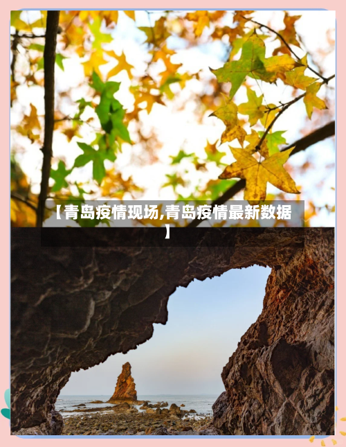 【青岛疫情现场,青岛疫情最新数据】-第2张图片