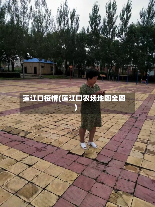 莲江口疫情(莲江口农场地图全图)