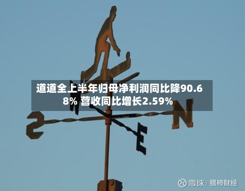 道道全上半年归母净利润同比降90.68% 营收同比增长2.59%-第3张图片