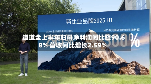 道道全上半年归母净利润同比降90.68% 营收同比增长2.59%-第2张图片