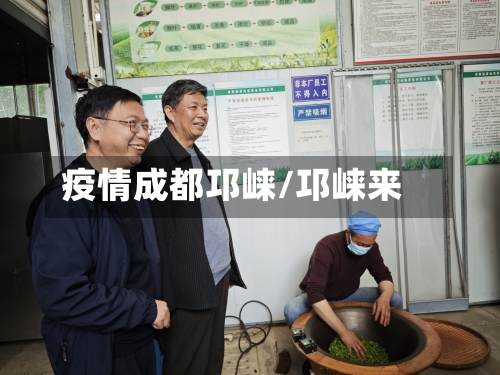 疫情成都邛崃/邛崃来-第3张图片