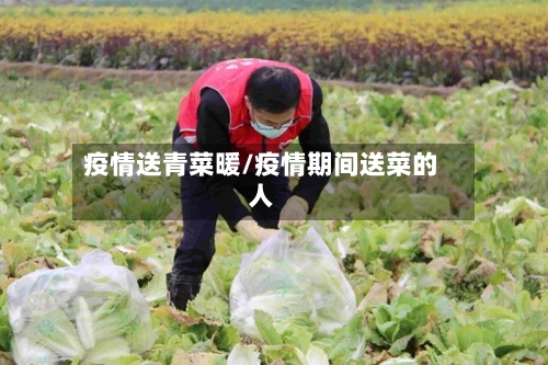 疫情送青菜暖/疫情期间送菜的人-第3张图片