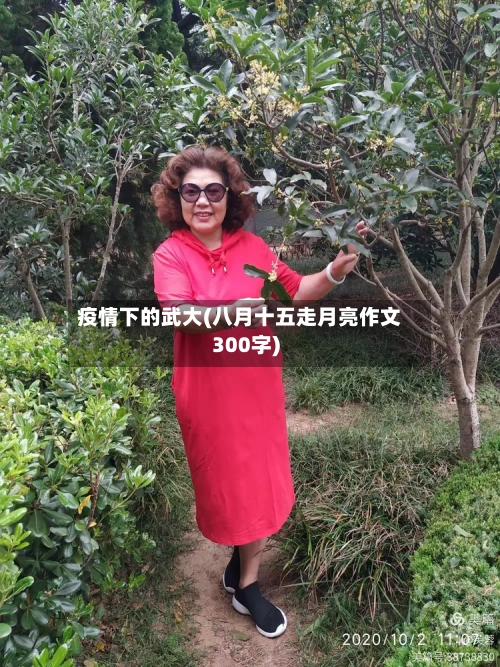 疫情下的武大(八月十五走月亮作文300字)