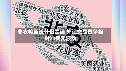 非农将至沃什仍是迷 外汇交易员争相对冲美元波动-第3张图片