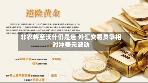非农将至沃什仍是迷 外汇交易员争相对冲美元波动-第2张图片