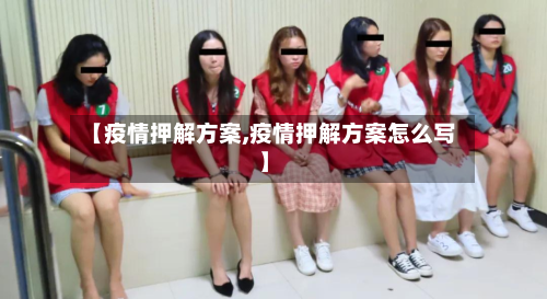 【疫情押解方案,疫情押解方案怎么写】