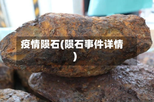 疫情陨石(陨石事件详情)