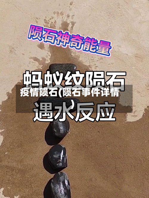 疫情陨石(陨石事件详情)-第2张图片