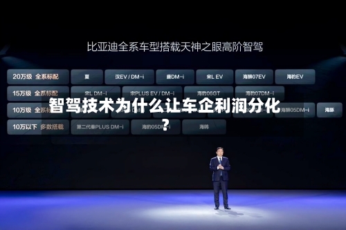 智驾技术为什么让车企利润分化?-第2张图片