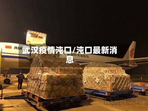 武汉疫情沌口/沌口最新消息-第2张图片