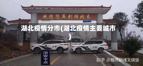 湖北疫情分市(湖北疫情主要城市)
