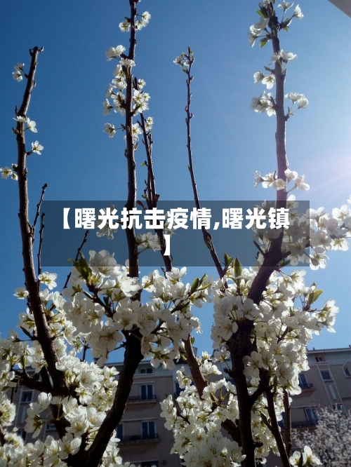 【曙光抗击疫情,曙光镇】