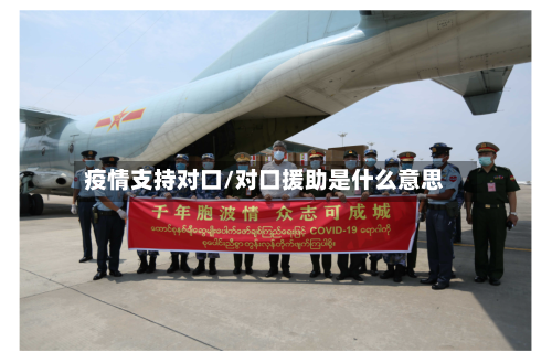 疫情支持对口/对口援助是什么意思