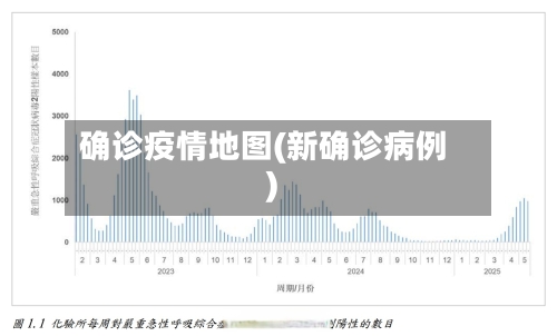 确诊疫情地图(新确诊病例)