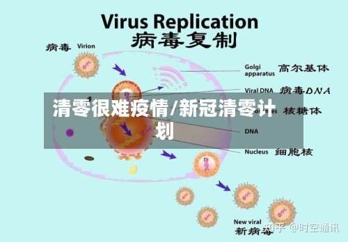 清零很难疫情/新冠清零计划-第2张图片