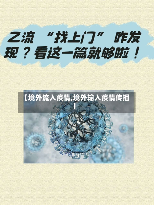 【境外流入疫情,境外输入疫情传播】-第2张图片