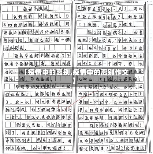 【疫情中的离别,疫情中的离别作文】