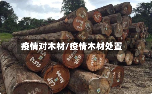 疫情对木材/疫情木材处置