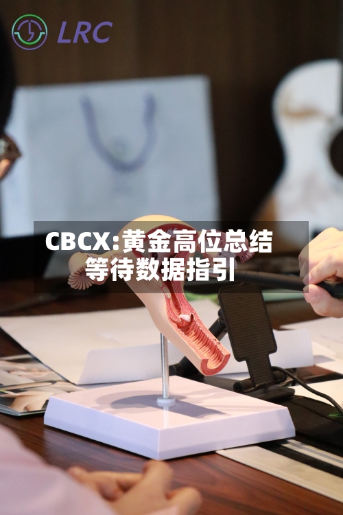 CBCX:黄金高位总结等待数据指引-第2张图片