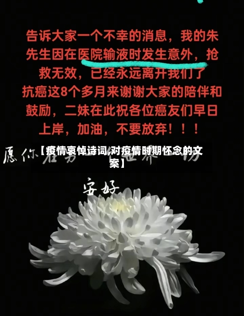 【疫情哀悼诗词,对疫情时期怀念的文案】