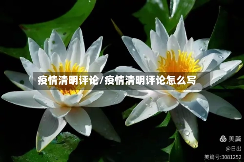 疫情清明评论/疫情清明评论怎么写