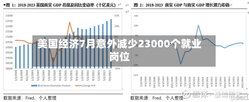 美国经济7月意外减少23000个就业岗位-第3张图片