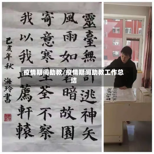 疫情期间助教/疫情期间助教工作总结